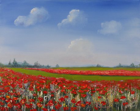 Picture with a poppy field. Landscape with oil.